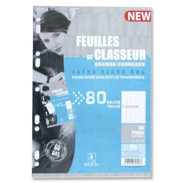 Feuilles de classeur 100p GM