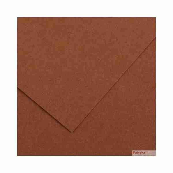 Papier Canson Marron