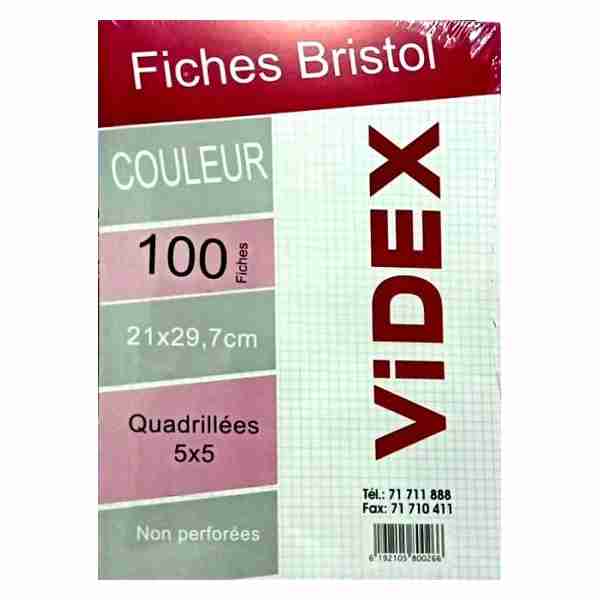 Pack de 100 Fiches Bristol Couleur A4 21x29.7cm Videx