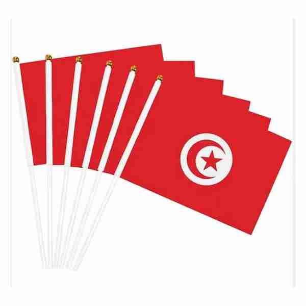 Drapeau avec baton 60*90cm